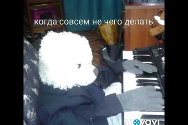 Аналог гидры