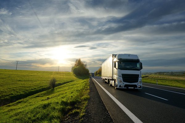 Кракен бошки