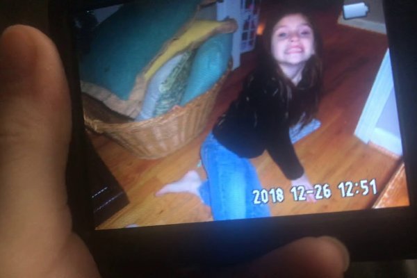 Аналог гидры