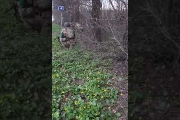 Как вывести с кракена