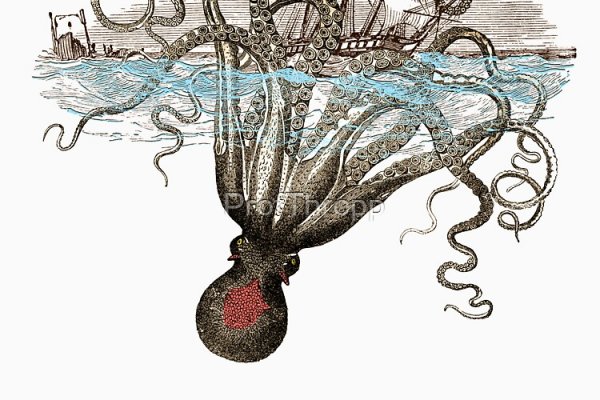 Настоящий сайт kraken