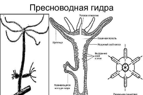 Оригинальная ссылка кракен браузера
