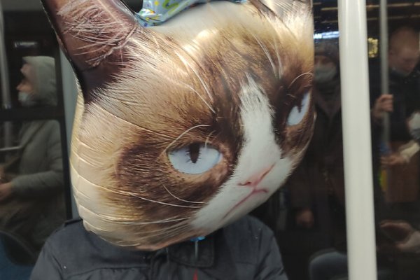 Кракен маркетплейс в москве