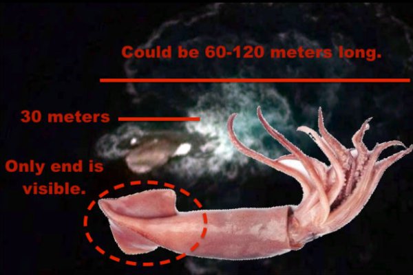 Кракен сайт ссылка kr2web in