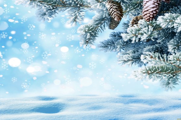 Сайт кракен официальный ссылка onion